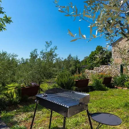 Dvi Ulike Appartement