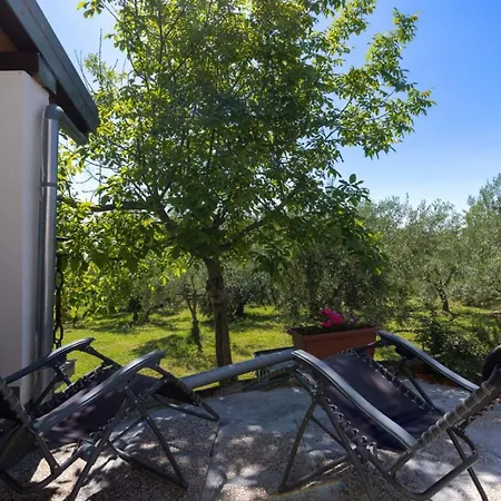 Dvi Ulike Appartement